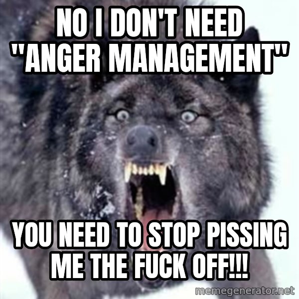 Angry Ass Wolf meme: NO I don't need "anger management" / YOU NEED TO STOP PISSING ME THE FUCK OFF!!!