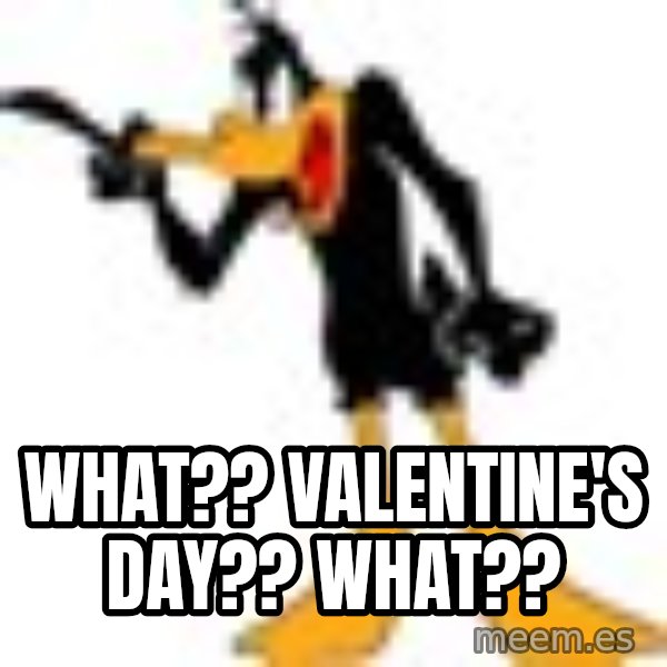 Daffy Duck Angry meme: what??  valentine's day??  what??