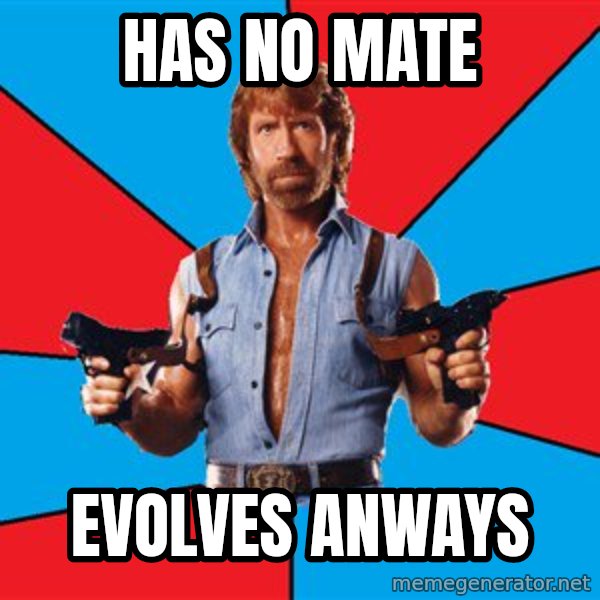 Chuck Norris  meme: HAs no mate / Evolves anways