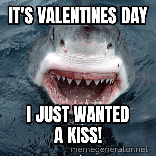 Insanity Shark meme: It's Valentines day / I just wanted a kiss!