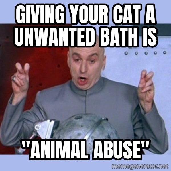 Dr Evil meme meme: giving your cat a unwanted bath is / "animal abuse"