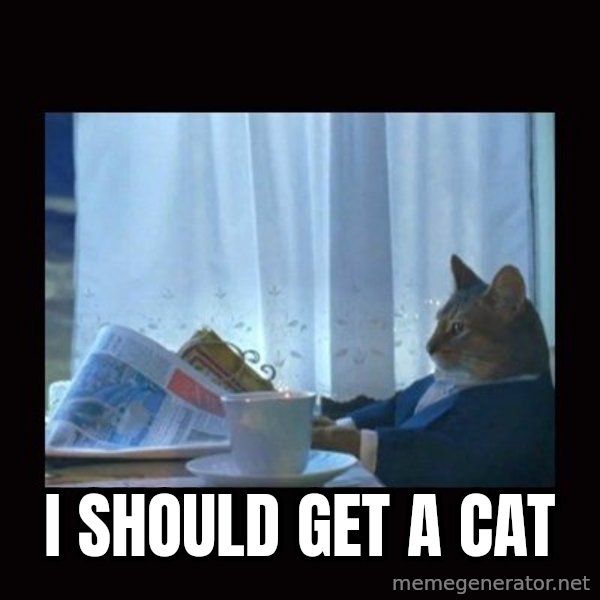 i should buy a boat cat meme: I should get a cat