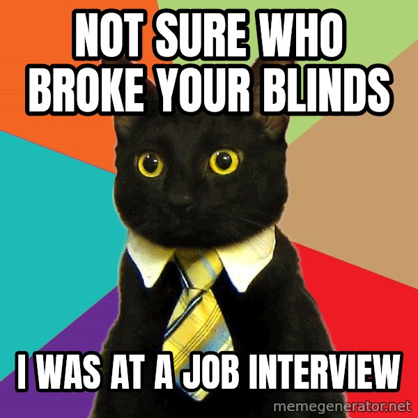 Business Cat meme: not sure who broke your blinds / I was at a job interview
