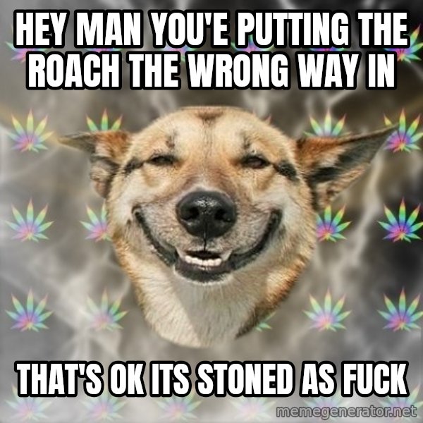 Stoner Dog meme: hey man you'e putting the roach the wrong way in / that's ok its stoned as fuck