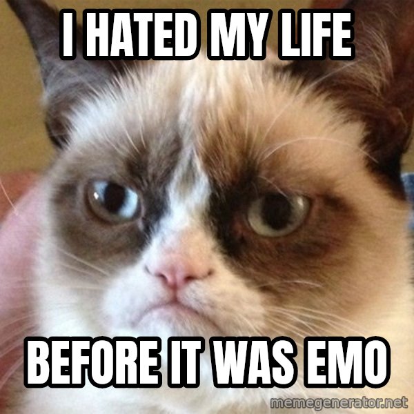 Angry Cat Meme meme: i hated my life / before it was emo