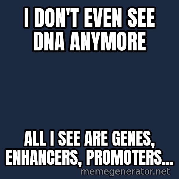 Matrix Cypher meme: I don't even see DNA anymore / all I see are genes, Enhancers, promoters...