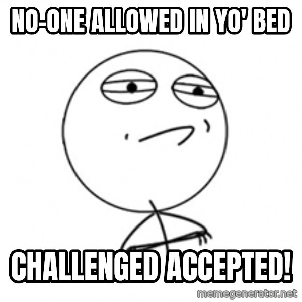 Challenge Accepted meme: nO-ONE ALLOWED IN YO' BED / challenged accepted!
