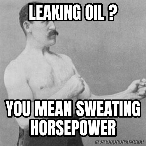 overly manlyman meme: Leaking oil ? / You mean sweating horsepower