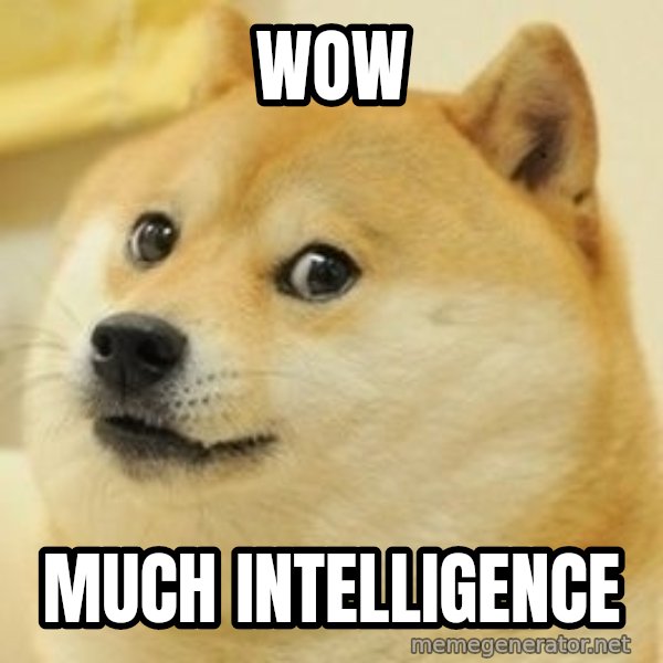Real Doge meme: WOW / Much Intelligence