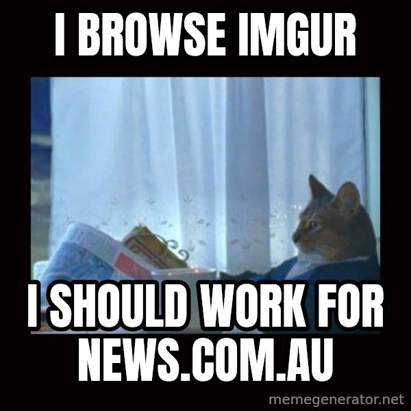 i should buy a boat cat meme: I browse imgur / i should work for news.com.au