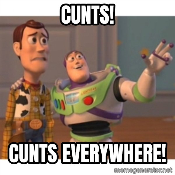 Toy story meme: Cunts! / Cunts everywhere!
