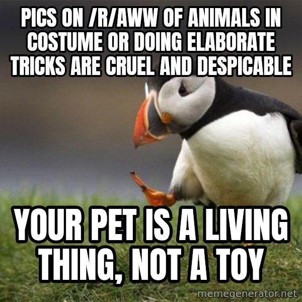 Unpopular Opinion Puffin meme: pics on /r/aww of animals in costume or doing elaborate tricks are cruel and despicable / Your pet is a living thing, not a toy