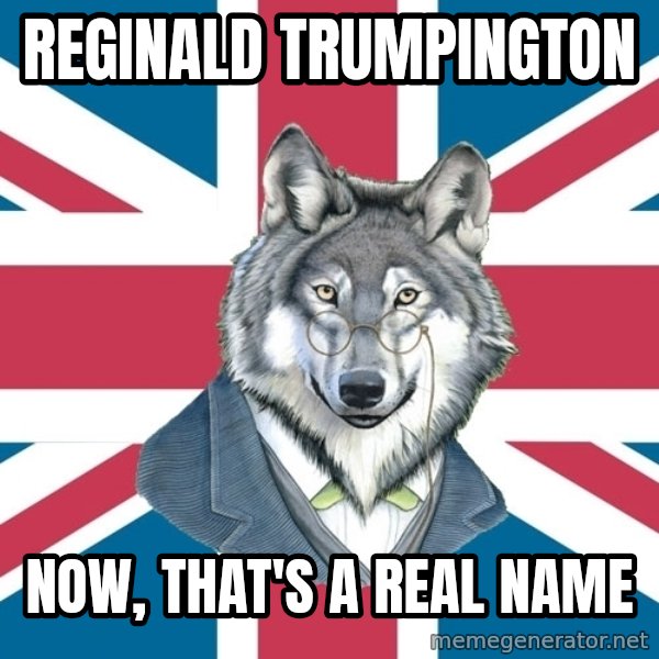 Sir Courage Wolf Esquire meme: Reginald trumpington / now, that's a real name