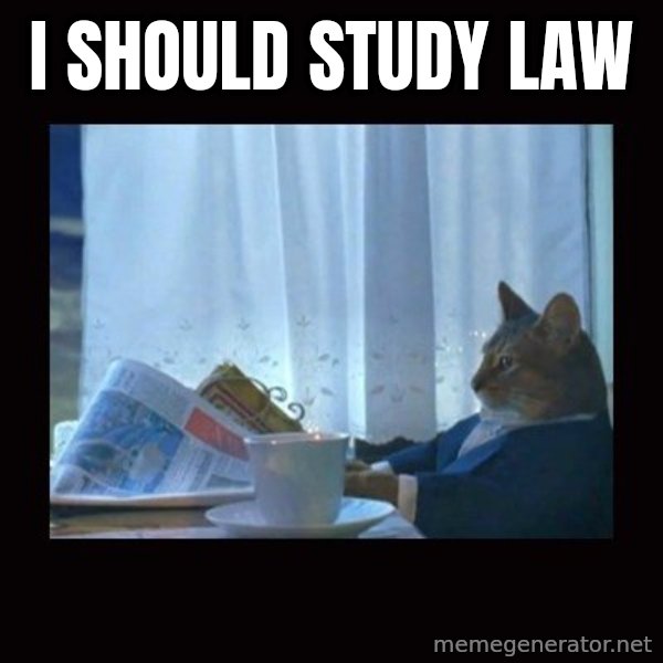 i should buy a boat cat meme: I SHOULD STUDY LAW