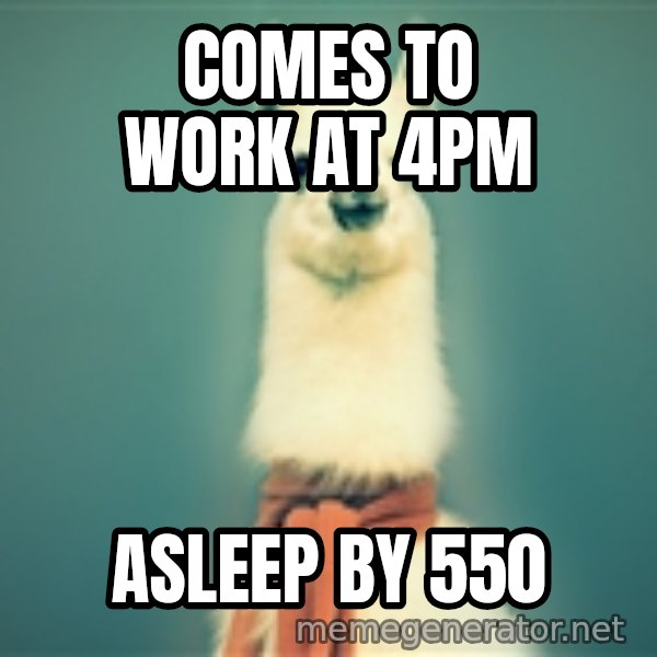 Pancakes llama meme: comes to work at 4pm / asleep by 550
