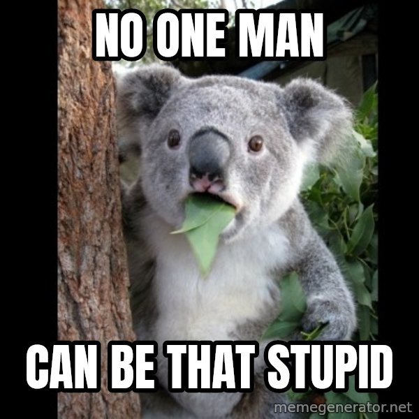 Koala can't believe it meme: No one man / can be that stupid