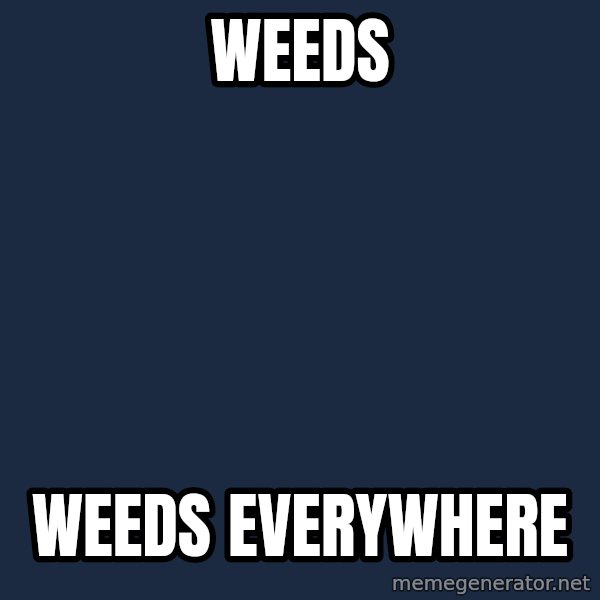 X, X Everywhere  meme: Weeds / Weeds Everywhere