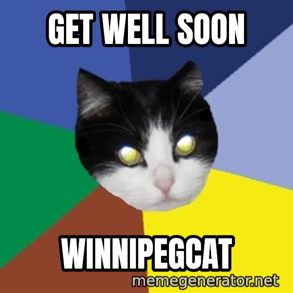 Winnipeg Cat meme: get well soon / winnipegcat