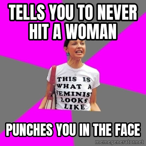 Feminist Cunt meme: Tells you to never hit a woman / punches you in the face
