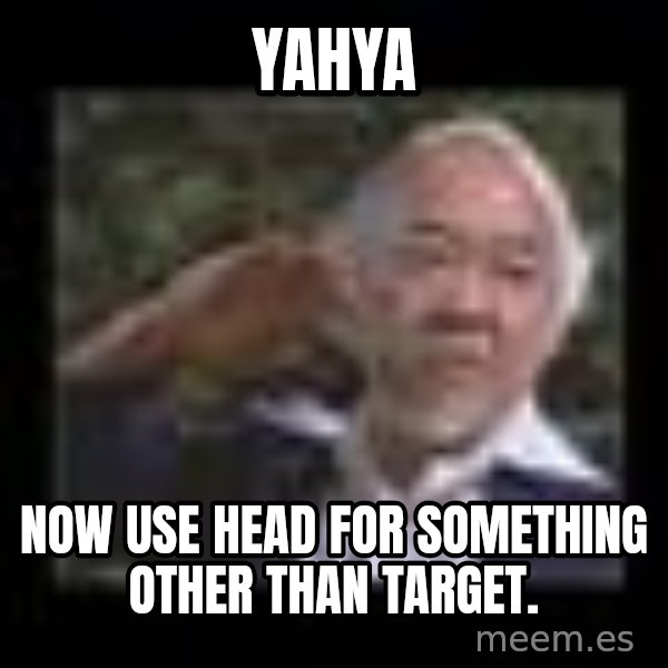 Mr Miyagi meme: Yahya / Now use head for something other than target.