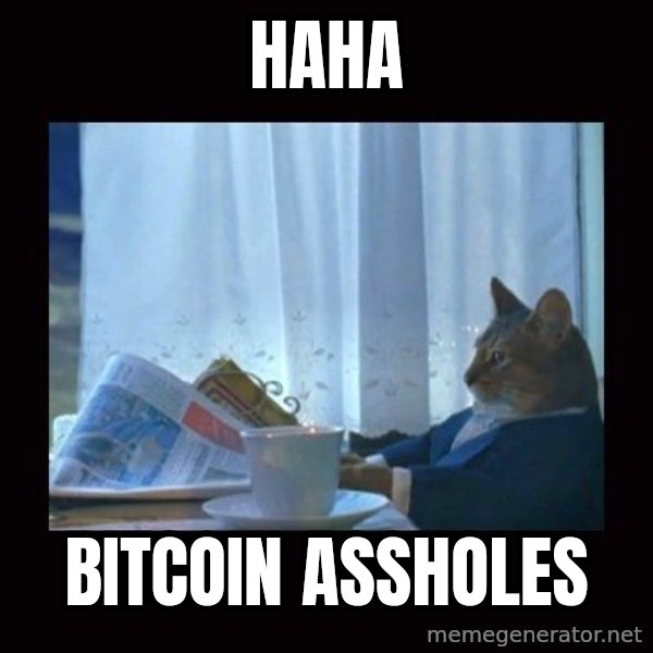 i should buy a boat cat meme: haha / bitcoin assholes