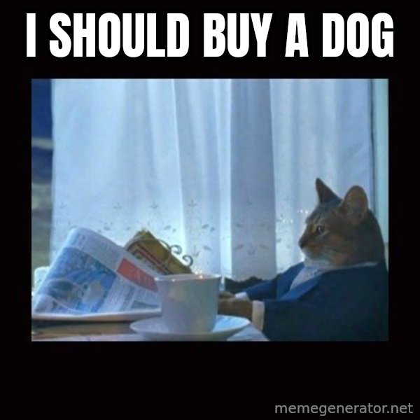 i should buy a boat cat meme: I should buy a dog