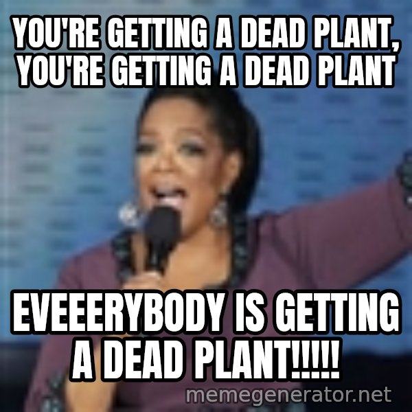 oprah winfrey meme: you're getting a dead plant, you're getting a dead plant / eveeerybody is getting a dead plant!!!!!