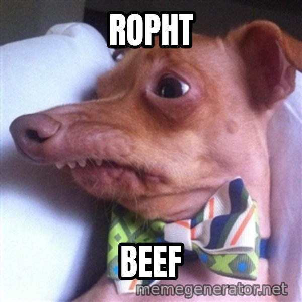 Tuna, the "Phteven" dog meme: Ropht / beef