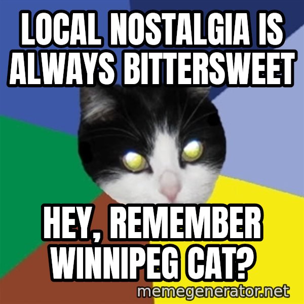Winnipeg Cat meme: Local nostalgia is always bittersweet / Hey, remember Winnipeg Cat?