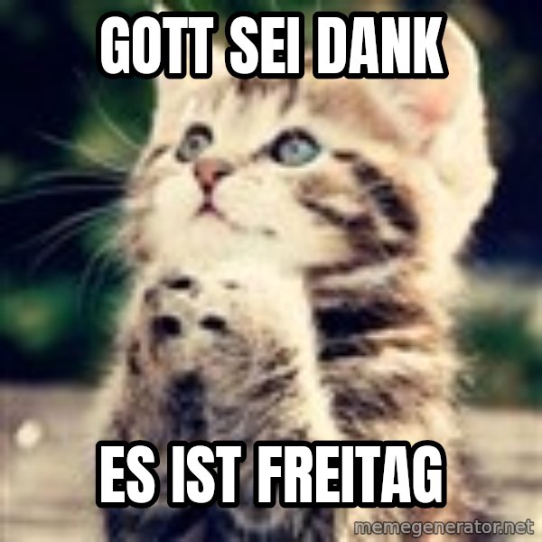 Praying Kitten meme: Gott sei dank / es ist freitag
