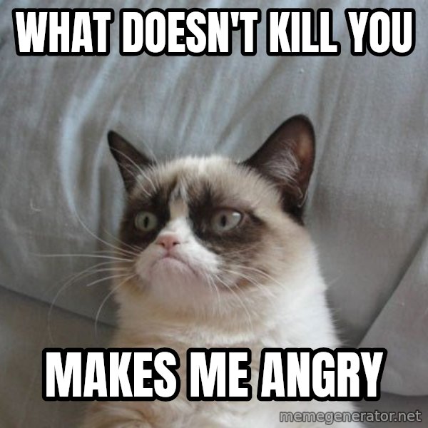 Grumpy cat good meme: What doesn't kill you / Makes me angry