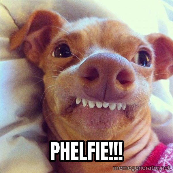 Phteven Dog meme: phelfie!!!