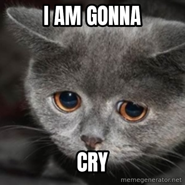 Sadcat meme: I am gonna / Cry