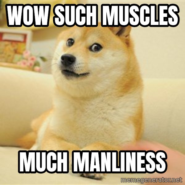 so doge meme: WOW SUCH MUSCLES / MUCH MANLINESS