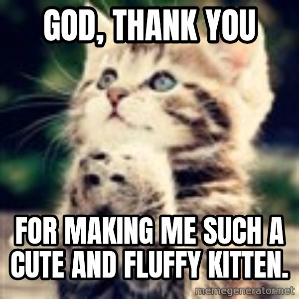Praying Kitten meme: God, thank you / for making me such a cute and fluffy kitten.