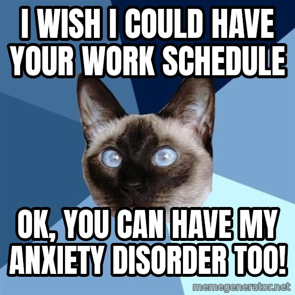 Chronic Illness Cat meme: I wish I could have your work schedule / ok, you can have my anxiety disorder too!