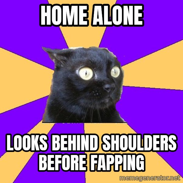 Anxiety Cat meme: home alone / looks behind shoulders before fapping