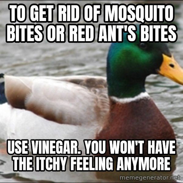 Actual Advice Mallard 1 meme: to get rid of mosquito bites or red ant's bites / use vinegar. you won't have the itchy feeling anymore