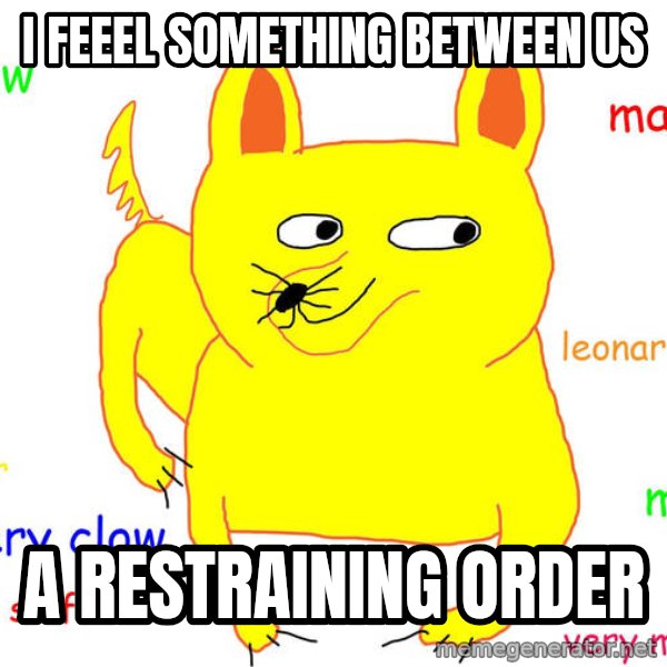 Grumpy Cat  meme: I FEEEL SOMETHING BETWEEN US / A RESTRAINING ORDER