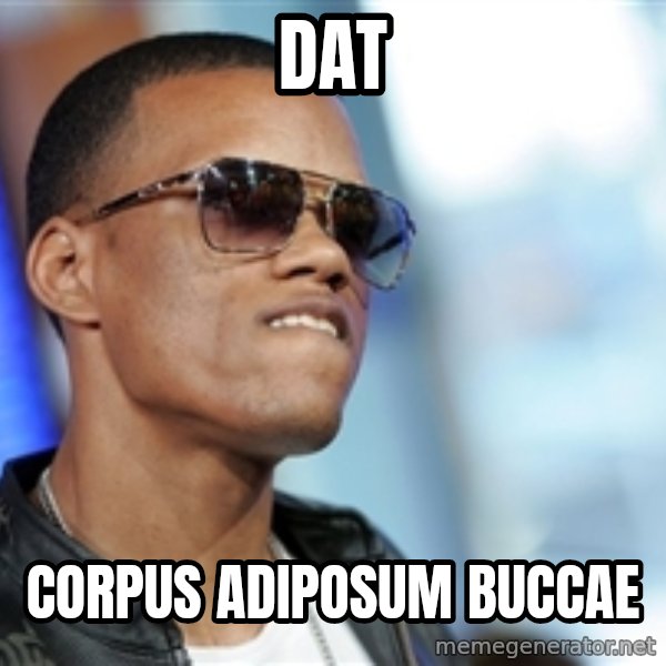 Dat Ass meme: Dat / Corpus adiposum buccae
