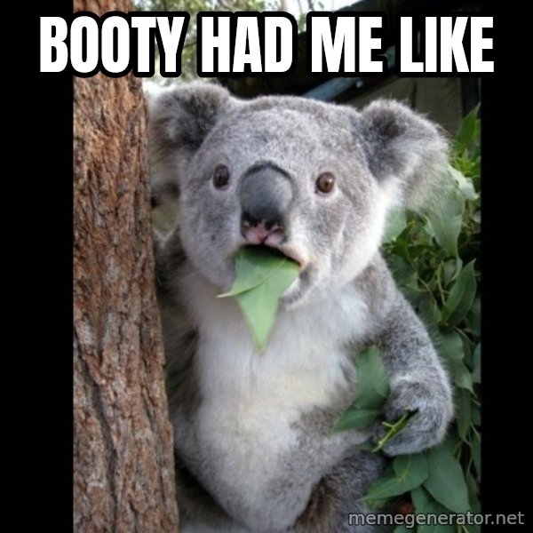 Koala can't believe it meme: Booty had me like