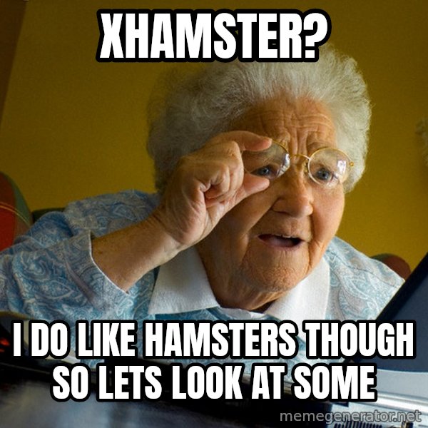 Internet Grandma Surprise meme: XHAMSTER? / I DO LIKE HAMSTERS THOUGH SO LETS LOOK AT SOME