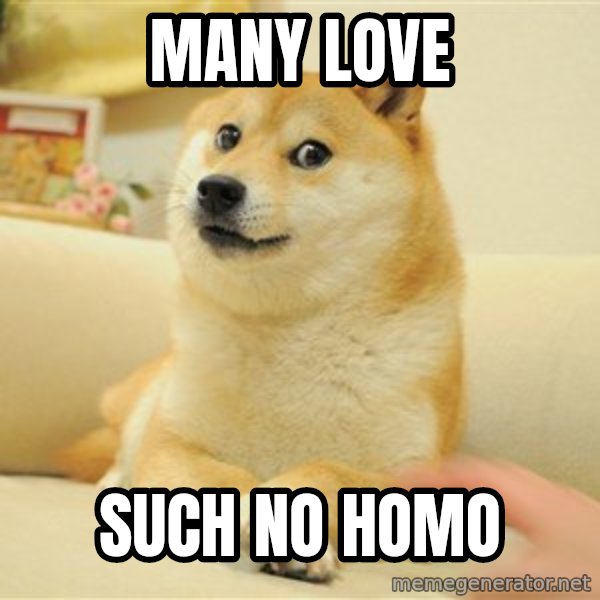 so doge meme: many love / such no homo