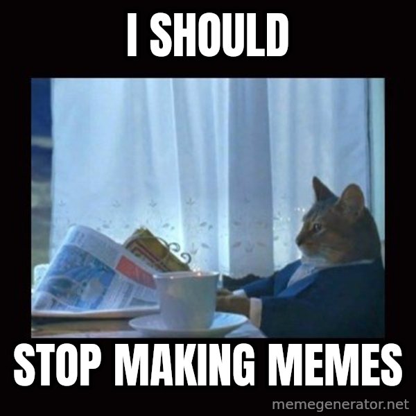i should buy a boat cat meme: I should / stop making memes