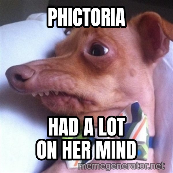 Tuna, the "Phteven" dog meme: PHICTORIA / HAD A LOT ON HER MIND