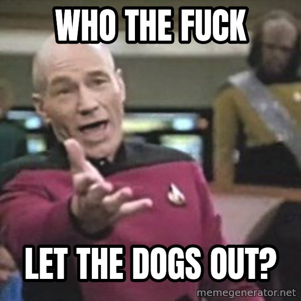 Captain Picard meme: who the fuck / let the dogs out?