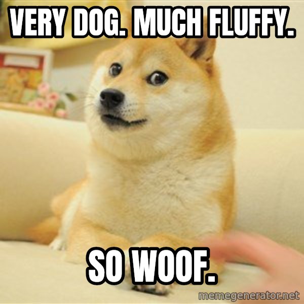 so doge meme: very dog. much fluffy. / so woof.