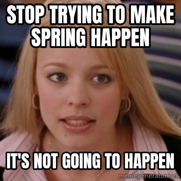 mean girls meme: stop trying to make spring happen / it's not going to happen