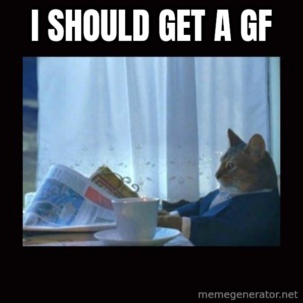 i should buy a boat cat meme: I should get a gf