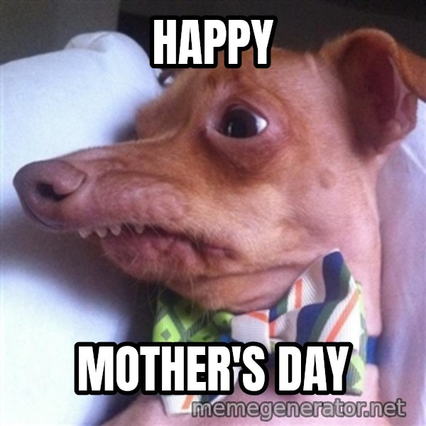 Tuna, the "Phteven" dog meme: Happy / Mother's Day